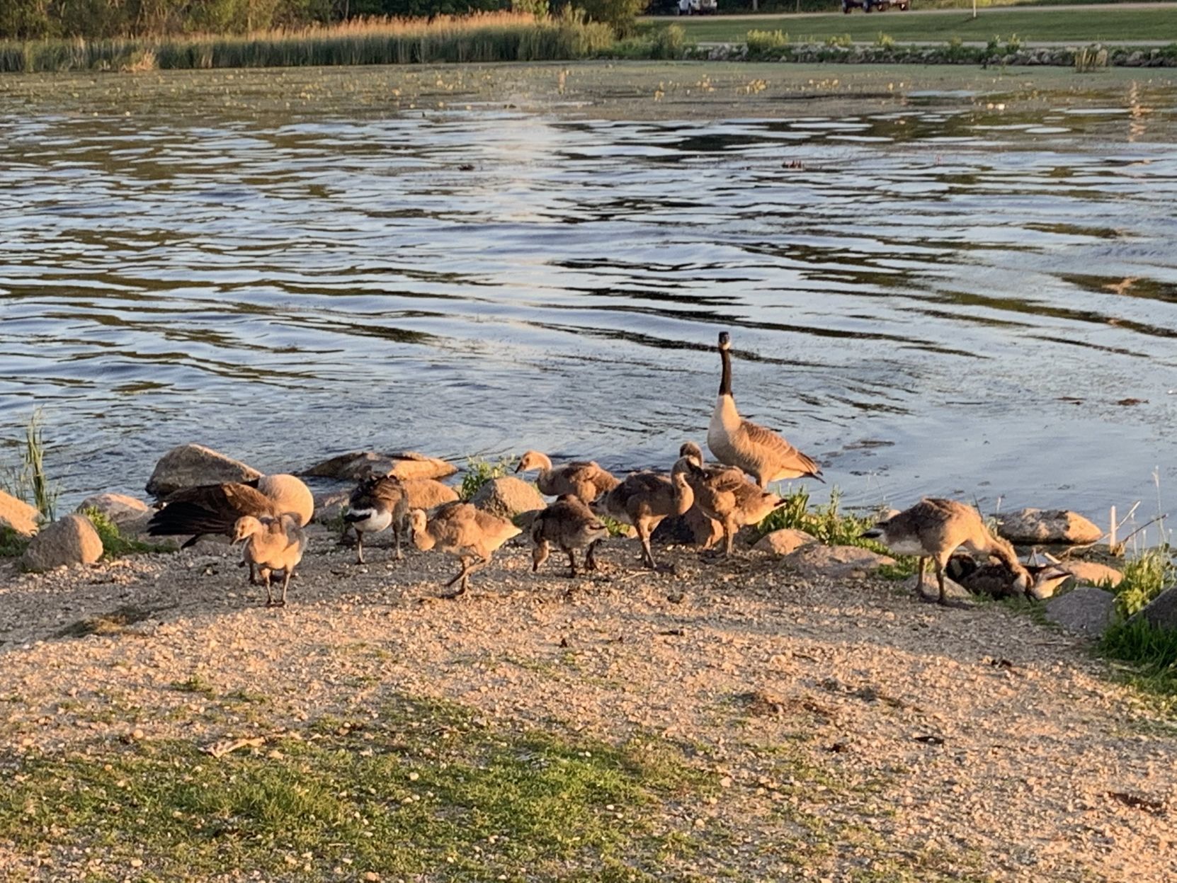 Maddie's family